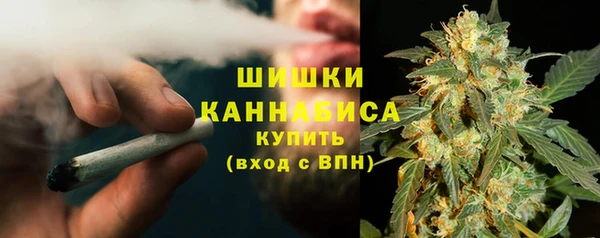 дживик Бугульма