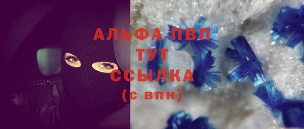 ПСИЛОЦИБИНОВЫЕ ГРИБЫ Няндома