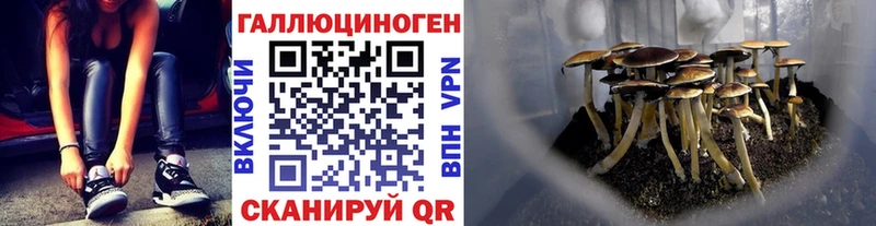 Галлюциногенные грибы Psilocybine cubensis  Купить где  Одинцово 